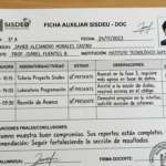 Ficha auxiliar sisdeu doc