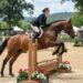 HorseShowing.com